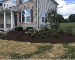Landscaping Carroll Landscaping