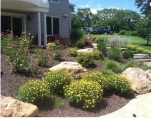 Landscaping Myths Carroll Landscaping