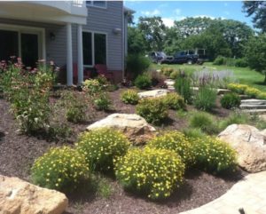 Guide on Communicating with Your Landscaping Company Carroll Landscaping