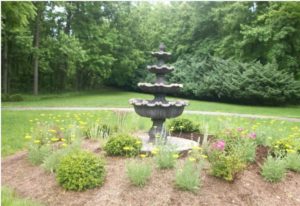3 Reasons You Should Landscape Your Property Carroll Landscaping
