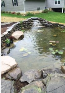 Water Features: A Look at How They'll Enhance Your Home