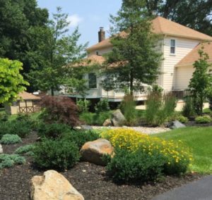 Avoidable Landscape Design Mistakes Carroll Landscaping