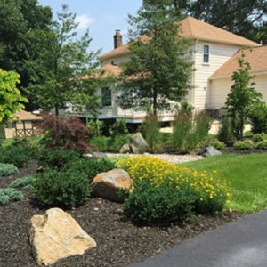 The Pros of Perennials Carroll Landscaping