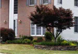 Landscape Construction Carroll Landscaping