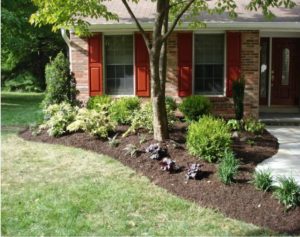August Landscaping Tips Carroll Landscaping
