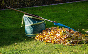 October Landscaping Tips Carroll Landscaping