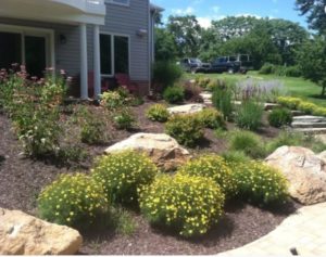 4 Helpful Winter Landscaping Tips carroll landscaping