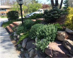 Important Things to Look For in a Landscaping Company carroll landscaping