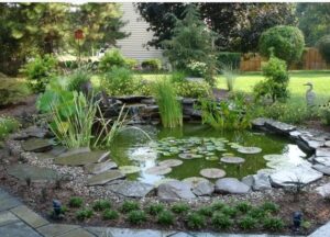 Beautify Your Backyard with a Water Feature carroll landscaping