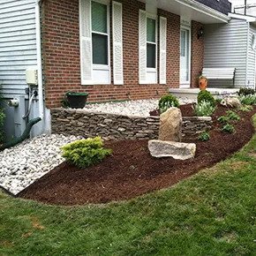 Landscape Plantings 2