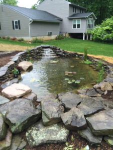 Pond and Water Feature 1