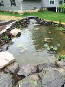 Pond and Water Feature 5