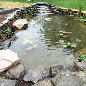 Pond, Water Feature & Fountain