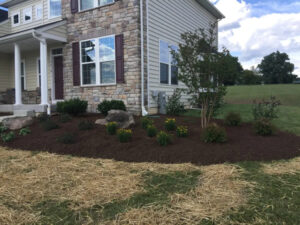 Landscape Maintenance in Howard County, MD carroll landscaping