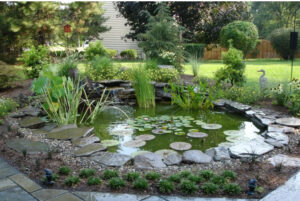 What Water Feature Best Fits Your Landscape?