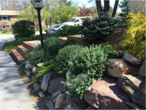 Landscape Maintenance in Westminster, MD carroll landscaping