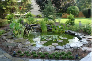 Why You Should Add a Pond to Your Landscape carroll landscaping