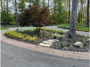 3 Landscape Design Tips for Small Spaces carroll landscaping