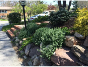 Landscaping Services in Woodstock, MD, 21166 