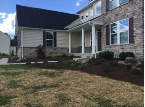 4 Summer Landscaping Tips to Beautify Your Property carroll landscaping