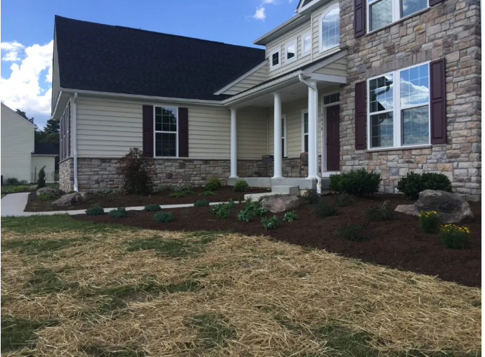 4 Summer Landscaping Tips to Beautify Your Property Carroll