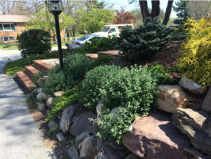 Landscape Maintenance in Clarksville, MD, 21029 carroll landscaping