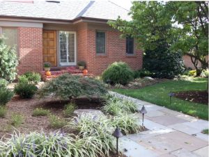 Landscape Design Tips for New Homeowners carroll landscaping